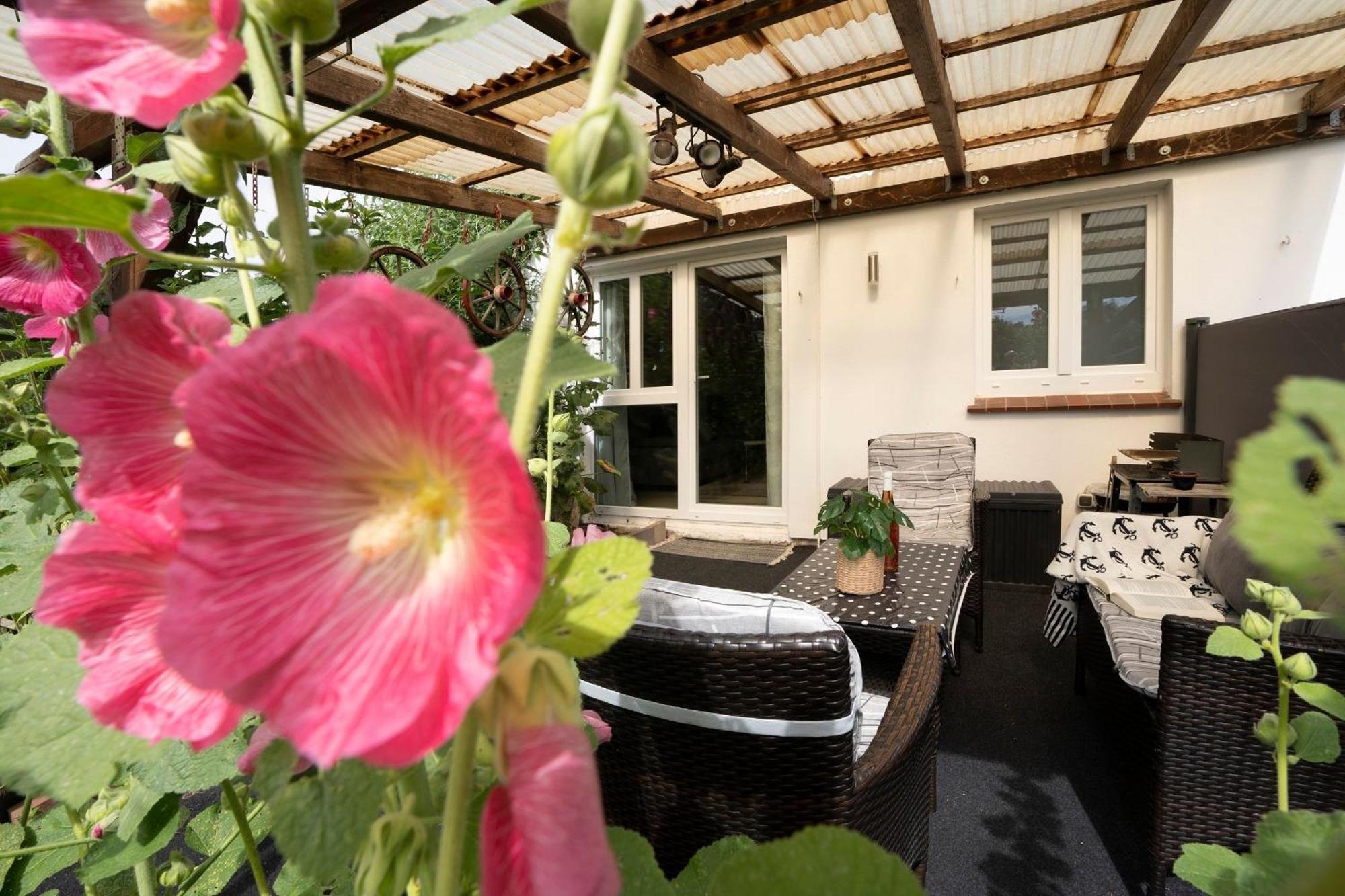Apartmán Haus Waldfrieden Ferienhaeuschen Waldfrieden Haffkrug Exteriér fotografie